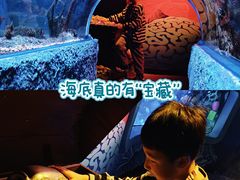 -沈阳海洋探索中心