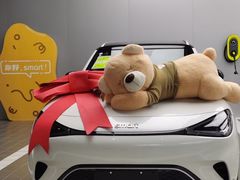 -上海浦东smart汽车全功能店(金桥店)