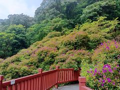 -广州市石门国家森林公园