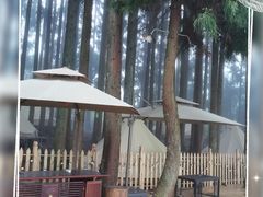 -武陵山森林公园