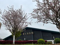 -武汉大学-樱园