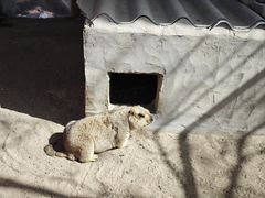 -兴芮温泉度假区