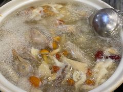 五指毛桃药膳鸽-鸽鸟轩(石岐店)