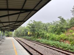 -黄金寨原生态旅游区
