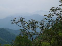 -秦岭风景区