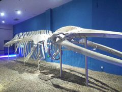 -福州罗源湾海洋世界旅游区