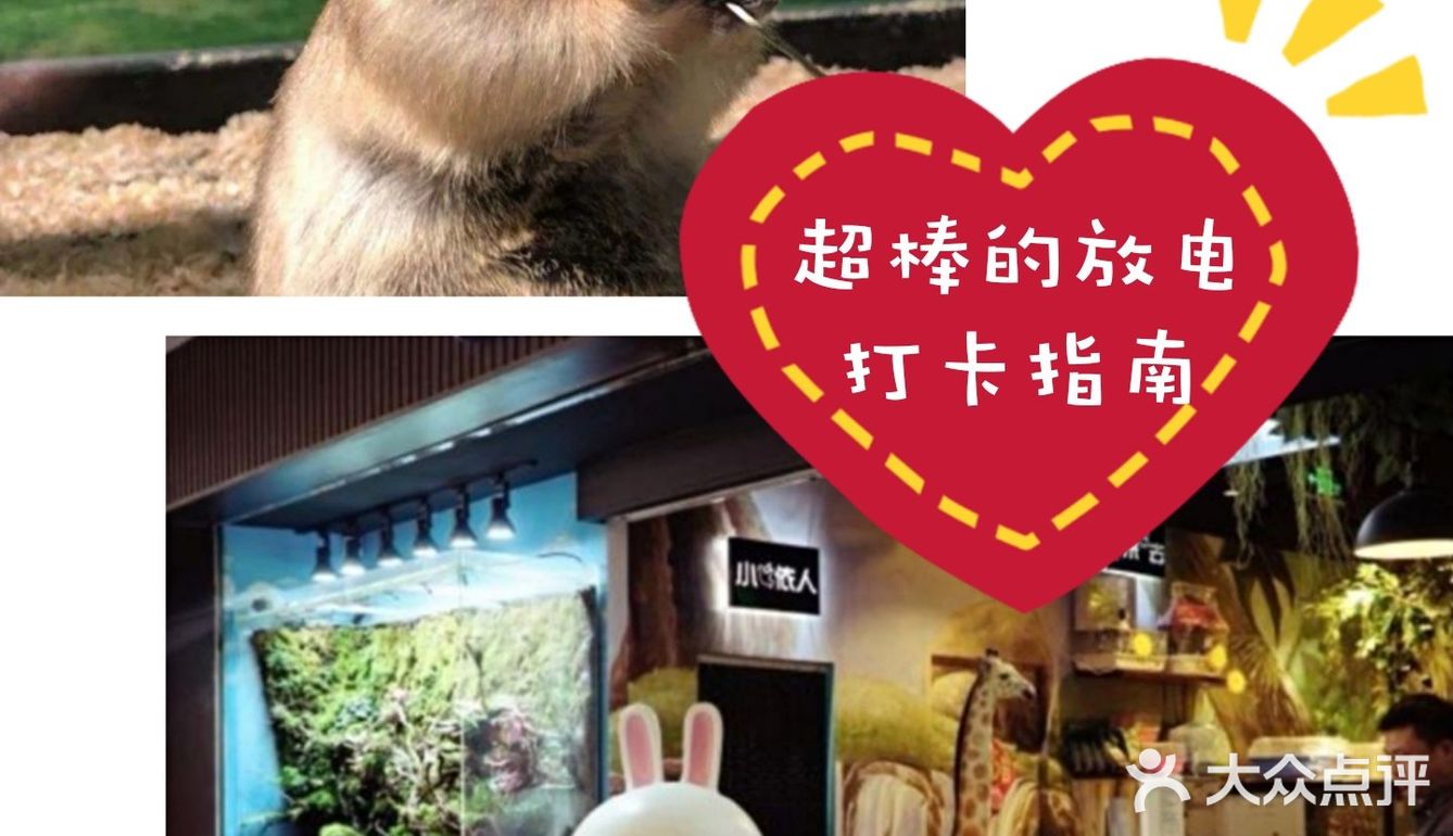 一起来撩小动物吧[亲亲]