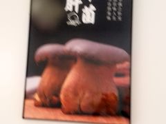 -菌极鲜野生菌火锅店(阳明祠店)
