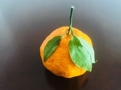 -鲜果壹号(苏站路店)