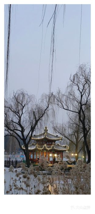 陶然亭公园图片