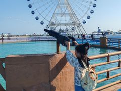 -秦皇岛乐岛海洋王国