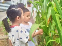 -红黄蓝幼儿园(颐东苑店)