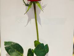 -INSA Korean Bistro饮鲨韩食酒馆