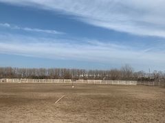 -月河湾马术俱乐部(朝阳店)