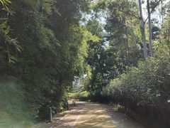 -中国移动南方基地