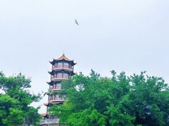-麗枫酒店(深圳机场福永地铁站店)