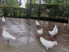 -国色天乡三期陆地乐园