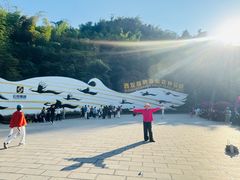 -西双版纳原始森林公园