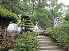 -南山植物园