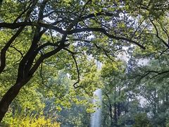 -上海交通大学医学院附属瑞金医院(总院)