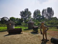 -溱湖国家湿地公园