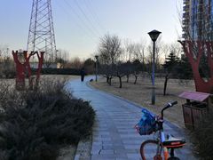 -石榴庄公园