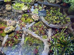 -国家植物园南园