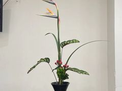 -帝京日语(春熙路旗舰校区)