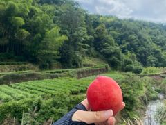 -十九峰景区-倒脱靴