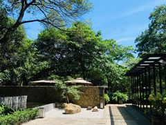 -西湖风景区-江洋畈生态公园