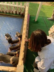 -萌宠亲子动物乐园(槐房万达店)