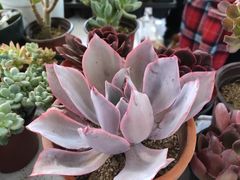 -沈阳国际会展中心管理有限公司