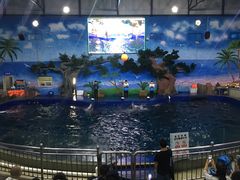 -石家庄市动物园