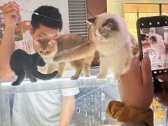 -中粮·祥云小镇