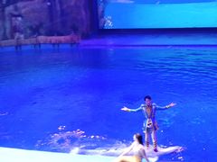 -芜湖新华联大白鲸海洋公园