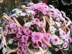 -花二家·生活馆(六运小区店)