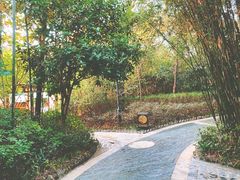 -深业半汤御泉庄温泉
