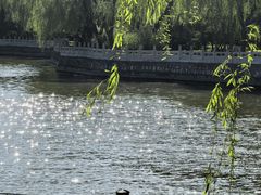 -迎泽公园