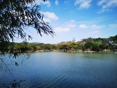 -番禺大夫山森林公园