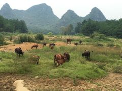 -Club Med地中海俱乐部·桂林度假村