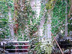 -呀路古热带植物园