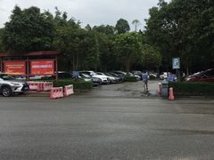-滴水岩森林公园