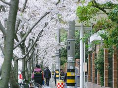 -永乐路-路侧停车场