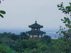 -北京西山国家森林公园