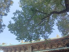 -晋祠公园
