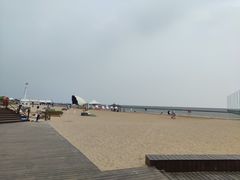-碧海金沙