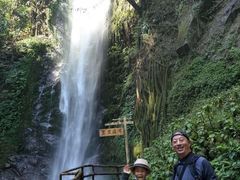 -莫里热带雨林景区