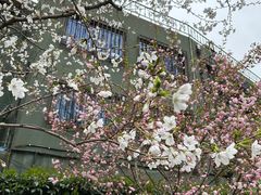 -徐家汇源景区-衡山公园