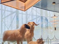 -百草滩羊清水涮羊肉·清真·宁夏盐池滩羊(莲花桥店)