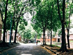 -华南师范大学(广州大学城校区)